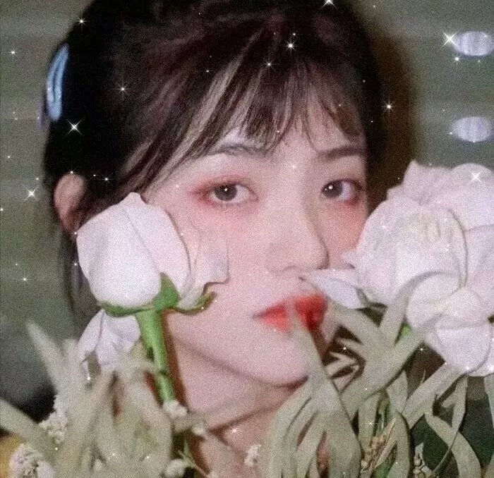 天涯寻芳踪